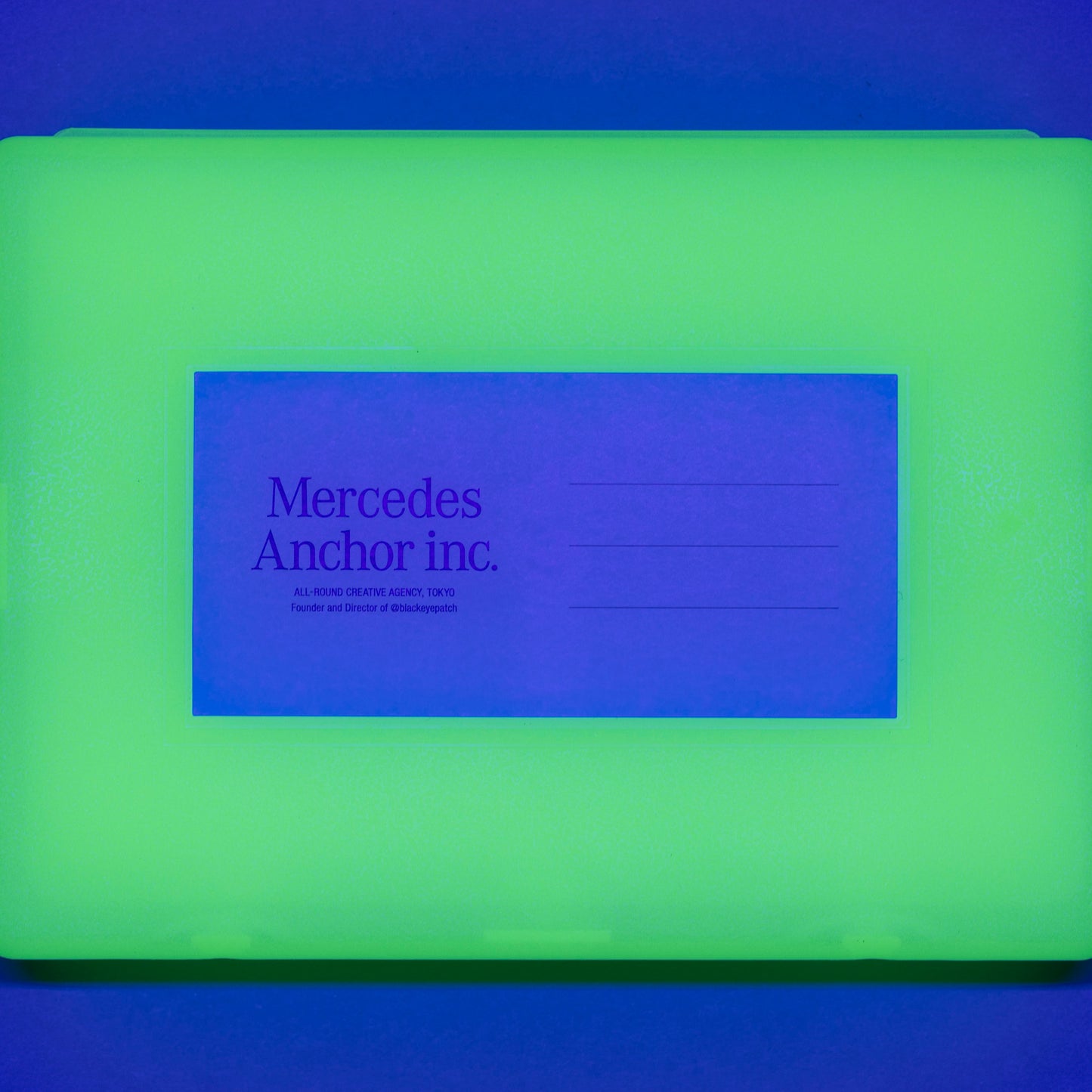 Anchor Inc. Glow Storage Container